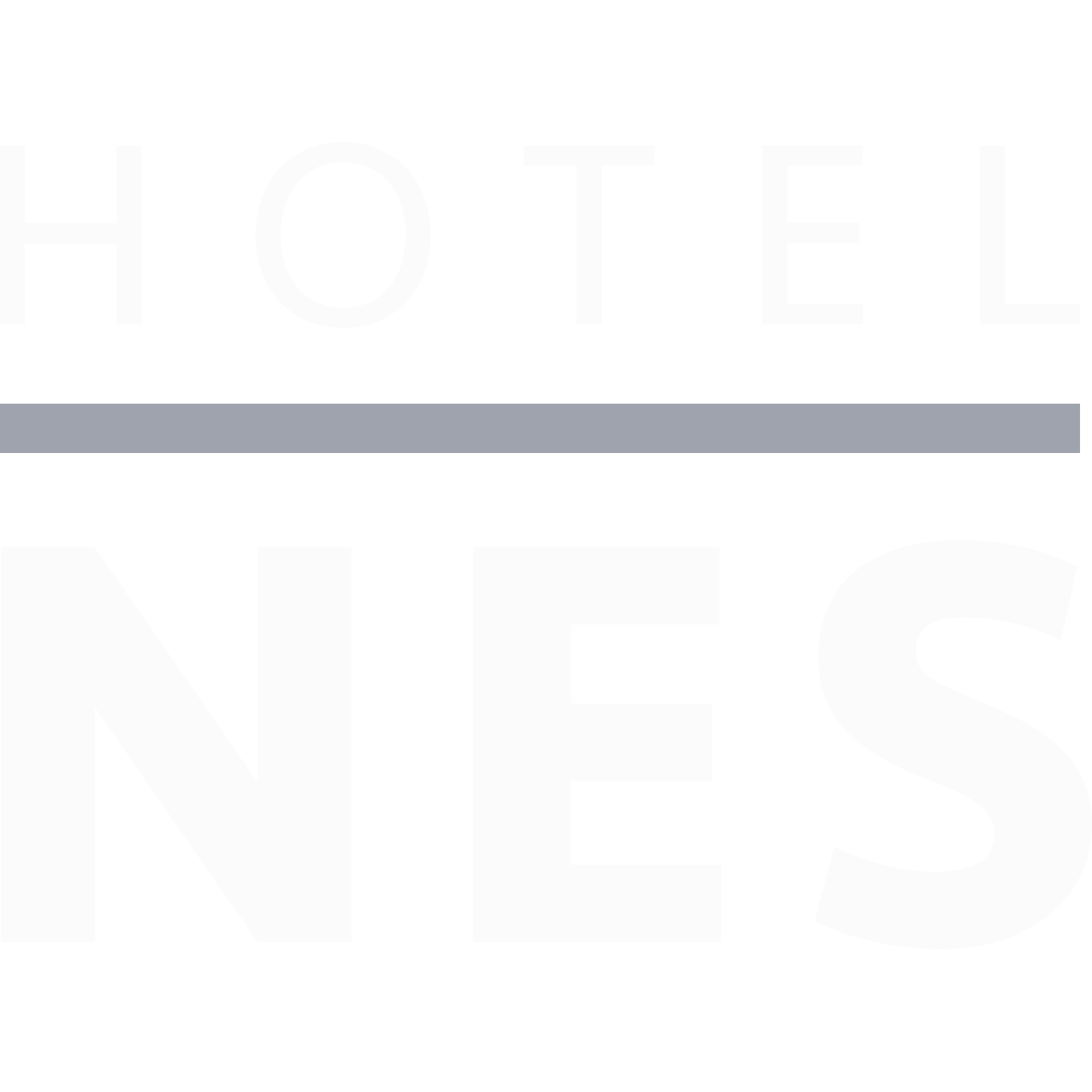 Hotel Nes - Ameland